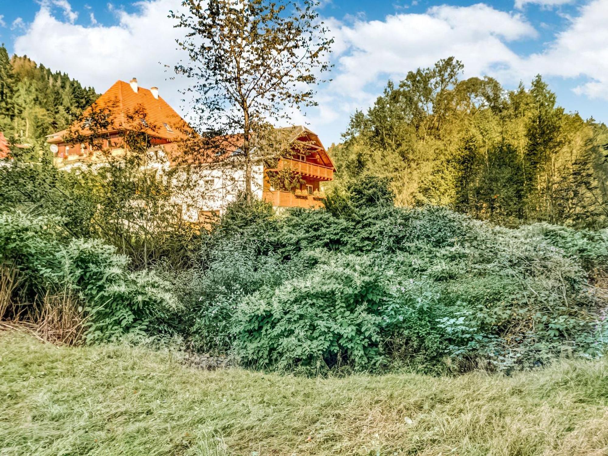 Apartment Thuringian Forest With Balcony Gießübel 外观 照片