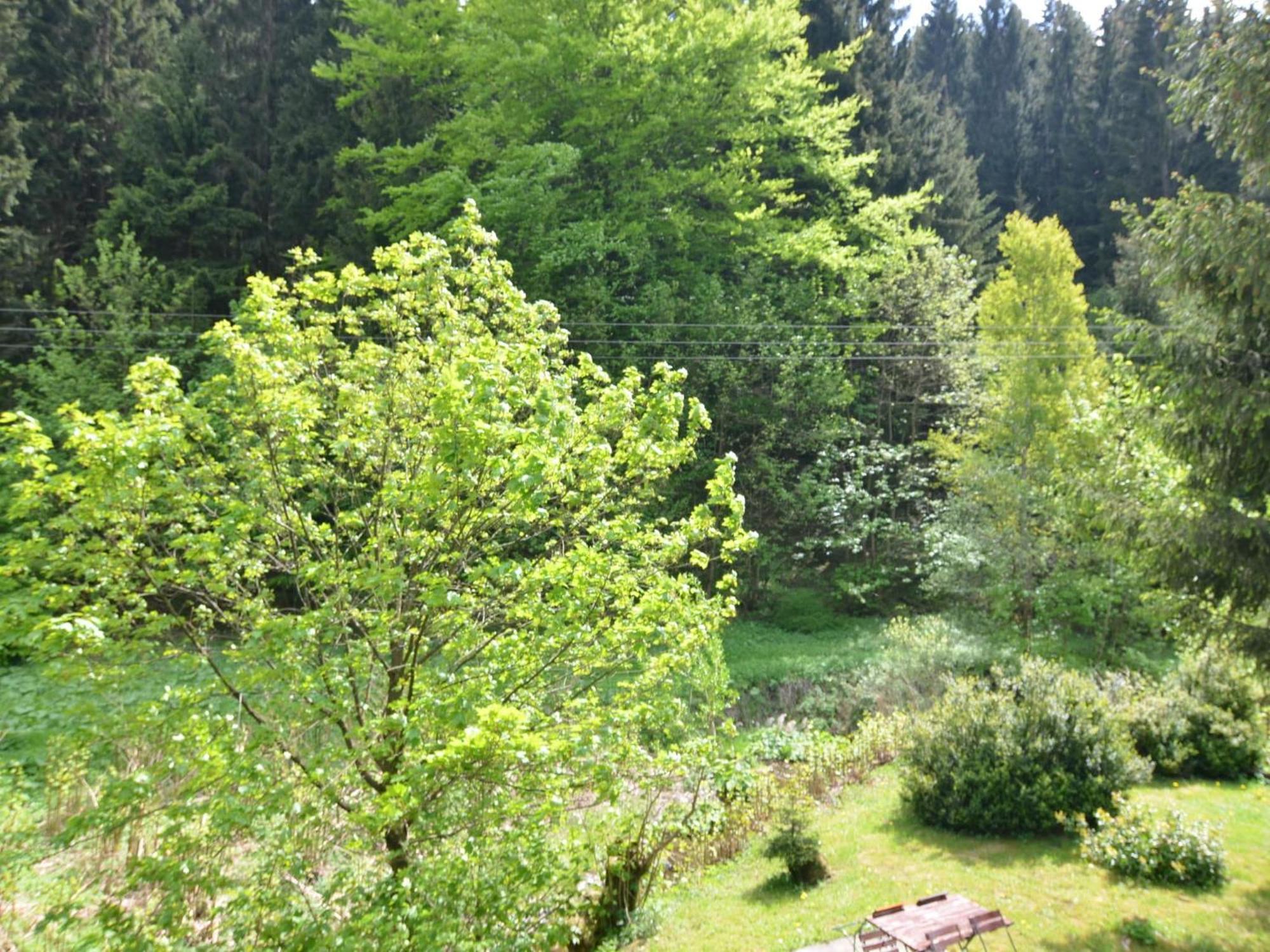 Apartment Thuringian Forest With Balcony Gießübel 外观 照片